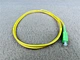 patch cord and pigtail