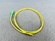 patch cord and pigtail